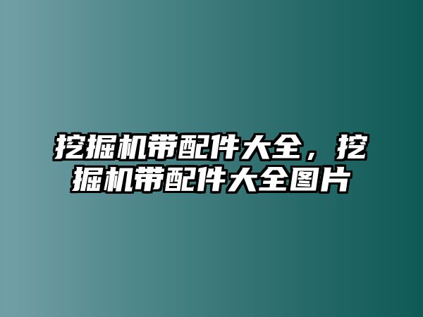 挖掘機(jī)帶配件大全，挖掘機(jī)帶配件大全圖片