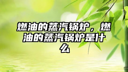 燃油的蒸汽鍋爐，燃油的蒸汽鍋爐是什么