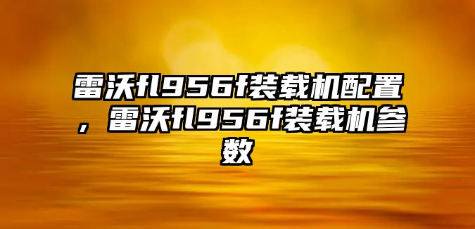 雷沃fl956f裝載機(jī)配置，雷沃fl956f裝載機(jī)參數(shù)