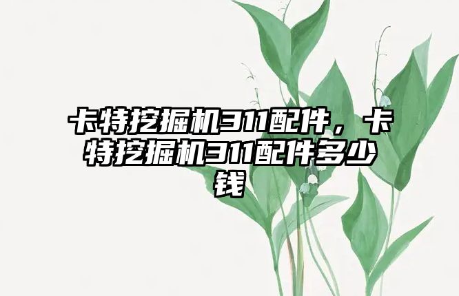 卡特挖掘機311配件，卡特挖掘機311配件多少錢