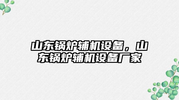 山東鍋爐輔機設(shè)備，山東鍋爐輔機設(shè)備廠家