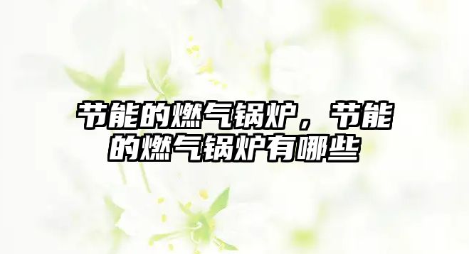 節(jié)能的燃?xì)忮仩t，節(jié)能的燃?xì)忮仩t有哪些