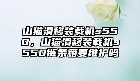 山貓滑移裝載機(jī)s550，山貓滑移裝載機(jī)s550鏈條箱要維護(hù)嗎