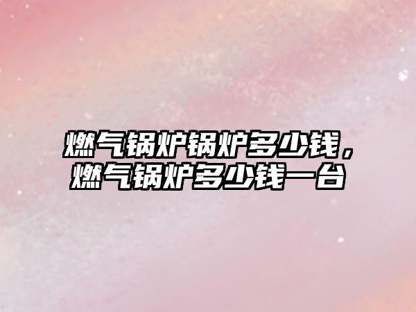 燃?xì)忮仩t鍋爐多少錢，燃?xì)忮仩t多少錢一臺