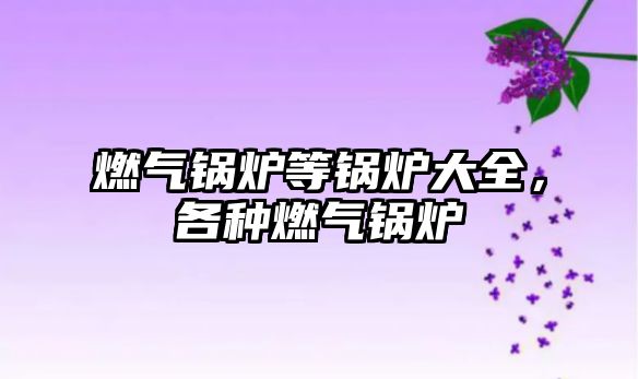 燃?xì)忮仩t等鍋爐大全，各種燃?xì)忮仩t