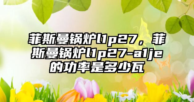 菲斯曼鍋爐l1p27，菲斯曼鍋爐l1p27-a1je的功率是多少瓦