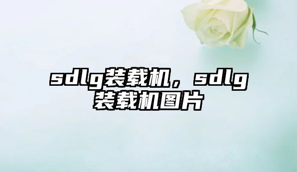 sdlg裝載機(jī)，sdlg裝載機(jī)圖片