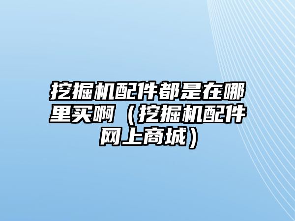 挖掘機(jī)配件都是在哪里買?。ㄍ诰驒C(jī)配件網(wǎng)上商城）