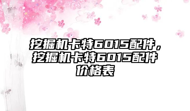 挖掘機(jī)卡特6015配件，挖掘機(jī)卡特6015配件價(jià)格表