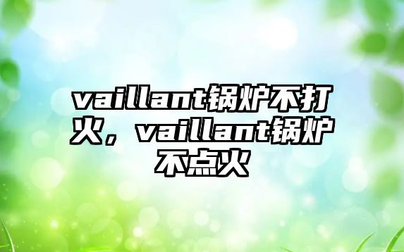 vaillant鍋爐不打火，vaillant鍋爐不點(diǎn)火