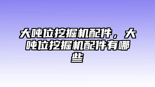 大噸位挖掘機(jī)配件，大噸位挖掘機(jī)配件有哪些