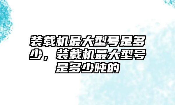 裝載機(jī)最大型號(hào)是多少，裝載機(jī)最大型號(hào)是多少噸的