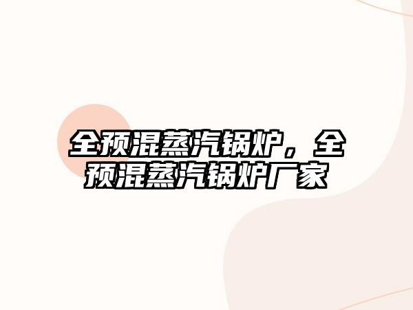 全預混蒸汽鍋爐，全預混蒸汽鍋爐廠家