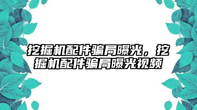 挖掘機配件騙局曝光，挖掘機配件騙局曝光視頻