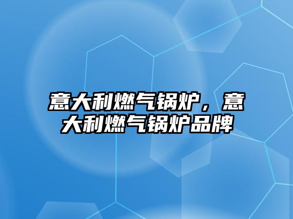 意大利燃?xì)忮仩t，意大利燃?xì)忮仩t品牌