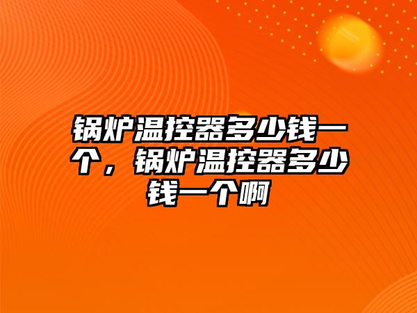 鍋爐溫控器多少錢一個，鍋爐溫控器多少錢一個啊