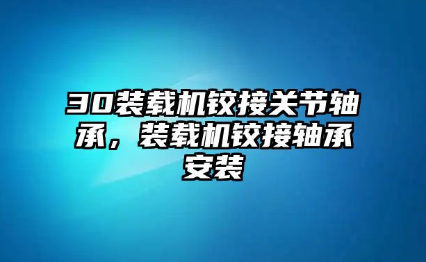 30裝載機鉸接關節(jié)軸承，裝載機鉸接軸承安裝