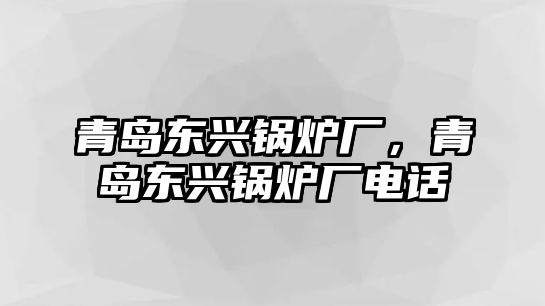 青島東興鍋爐廠，青島東興鍋爐廠電話