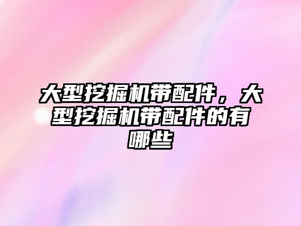 大型挖掘機帶配件，大型挖掘機帶配件的有哪些