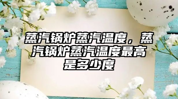 蒸汽鍋爐蒸汽溫度，蒸汽鍋爐蒸汽溫度最高是多少度