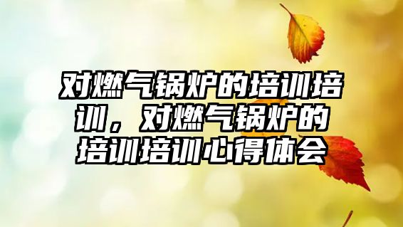 對(duì)燃?xì)忮仩t的培訓(xùn)培訓(xùn)，對(duì)燃?xì)忮仩t的培訓(xùn)培訓(xùn)心得體會(huì)