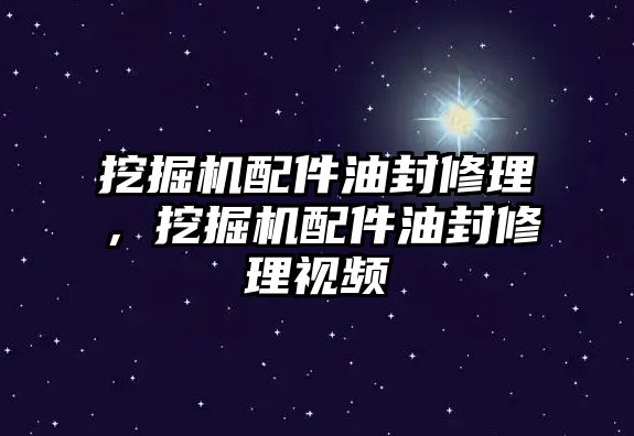 挖掘機(jī)配件油封修理，挖掘機(jī)配件油封修理視頻