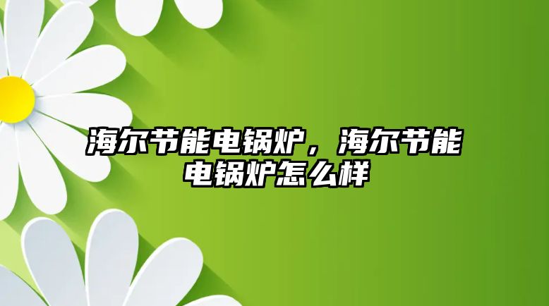 海爾節(jié)能電鍋爐，海爾節(jié)能電鍋爐怎么樣