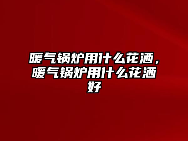 暖氣鍋爐用什么花灑，暖氣鍋爐用什么花灑好