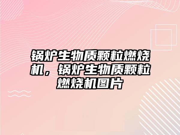 鍋爐生物質(zhì)顆粒燃燒機，鍋爐生物質(zhì)顆粒燃燒機圖片