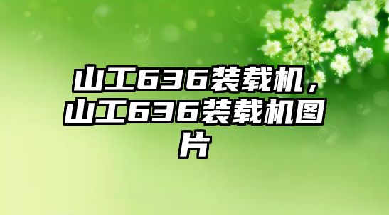 山工636裝載機(jī)，山工636裝載機(jī)圖片