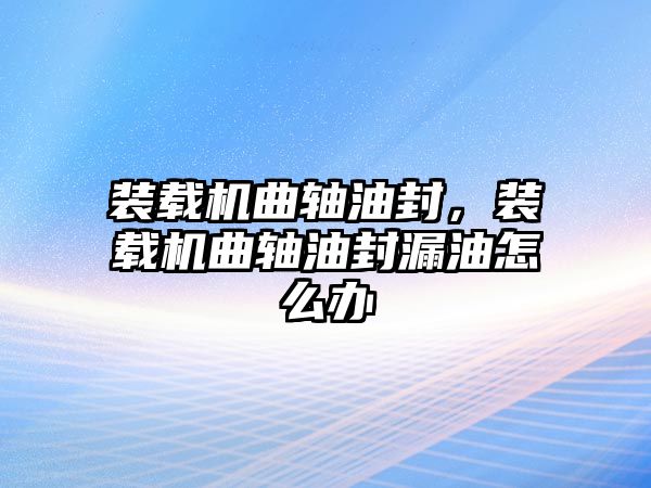 裝載機(jī)曲軸油封，裝載機(jī)曲軸油封漏油怎么辦