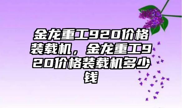 金龍重工920價(jià)格裝載機(jī)，金龍重工920價(jià)格裝載機(jī)多少錢(qián)