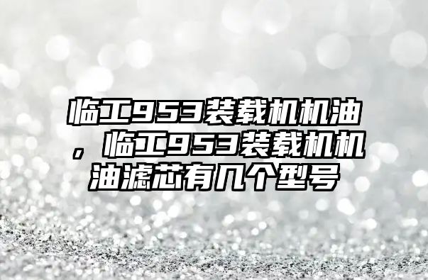 臨工953裝載機(jī)機(jī)油，臨工953裝載機(jī)機(jī)油濾芯有幾個(gè)型號(hào)