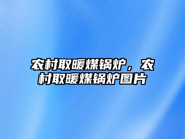 農(nóng)村取暖煤鍋爐，農(nóng)村取暖煤鍋爐圖片