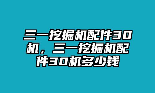 三一挖掘機配件30機，三一挖掘機配件30機多少錢