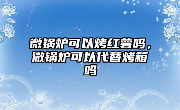 微鍋爐可以烤紅薯嗎，微鍋爐可以代替烤箱嗎