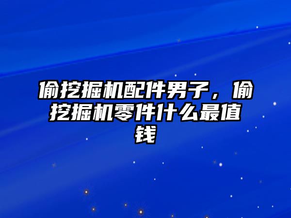 偷挖掘機配件男子，偷挖掘機零件什么最值錢