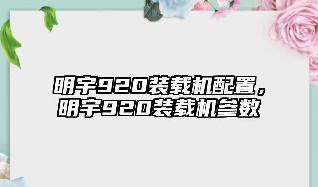 明宇920裝載機(jī)配置，明宇920裝載機(jī)參數(shù)