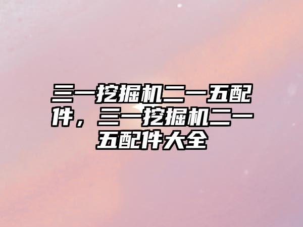 三一挖掘機(jī)二一五配件，三一挖掘機(jī)二一五配件大全