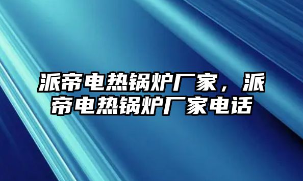 派帝電熱鍋爐廠家，派帝電熱鍋爐廠家電話