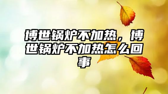 博世鍋爐不加熱，博世鍋爐不加熱怎么回事