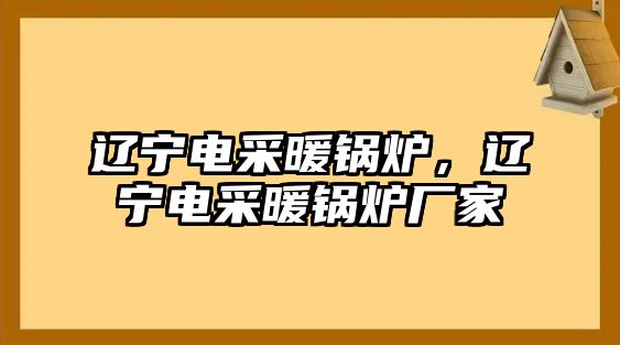 遼寧電采暖鍋爐，遼寧電采暖鍋爐廠家