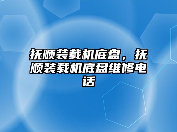 撫順裝載機底盤，撫順裝載機底盤維修電話