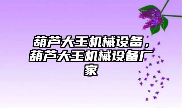 葫蘆大王機械設備，葫蘆大王機械設備廠家