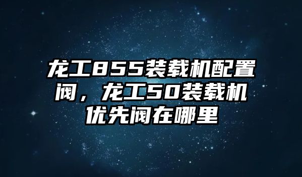 龍工855裝載機(jī)配置閥，龍工50裝載機(jī)優(yōu)先閥在哪里