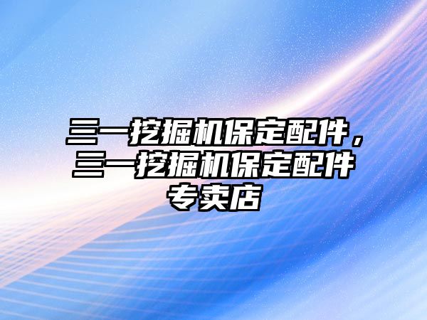 三一挖掘機保定配件，三一挖掘機保定配件專賣店