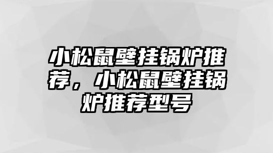 小松鼠壁掛鍋爐推薦，小松鼠壁掛鍋爐推薦型號(hào)