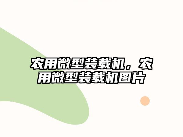 農(nóng)用微型裝載機(jī)，農(nóng)用微型裝載機(jī)圖片