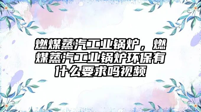 燃煤蒸汽工業(yè)鍋爐，燃煤蒸汽工業(yè)鍋爐環(huán)保有什么要求嗎視頻