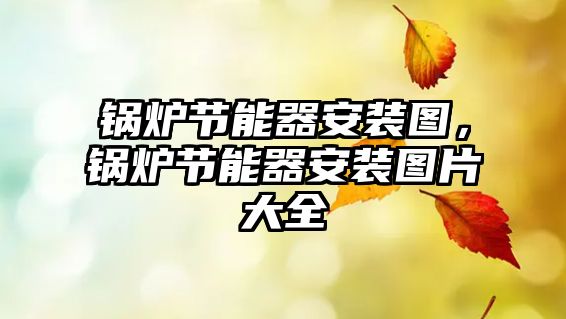 鍋爐節(jié)能器安裝圖，鍋爐節(jié)能器安裝圖片大全